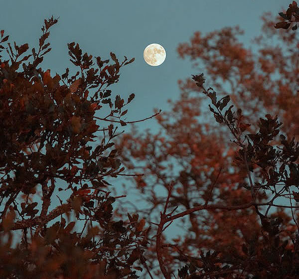 Many October Moons Ago