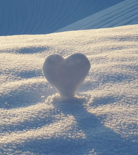 Loveful Moments